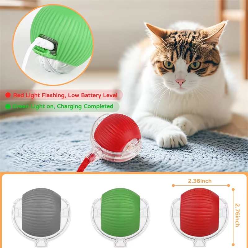 Novo Brinquedo Interativo para - Power Tools Cat avaliação e preço